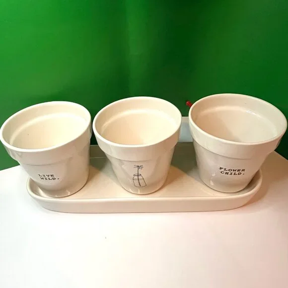 Rae Dunn Live Wild Flower Child Planter Set 3 Herb Pots Tray Magenta Artisan - Picture 2 of 9